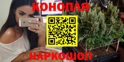 гидра Берёзовский