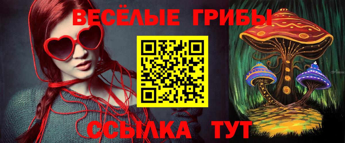 Псилоцибиновые грибы мухоморы  Псилоцибиновые грибы мухоморы  Видное  Вход с VPN 